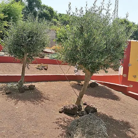 Los Dragos Holiday home