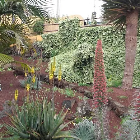 Los Dragos Holiday home